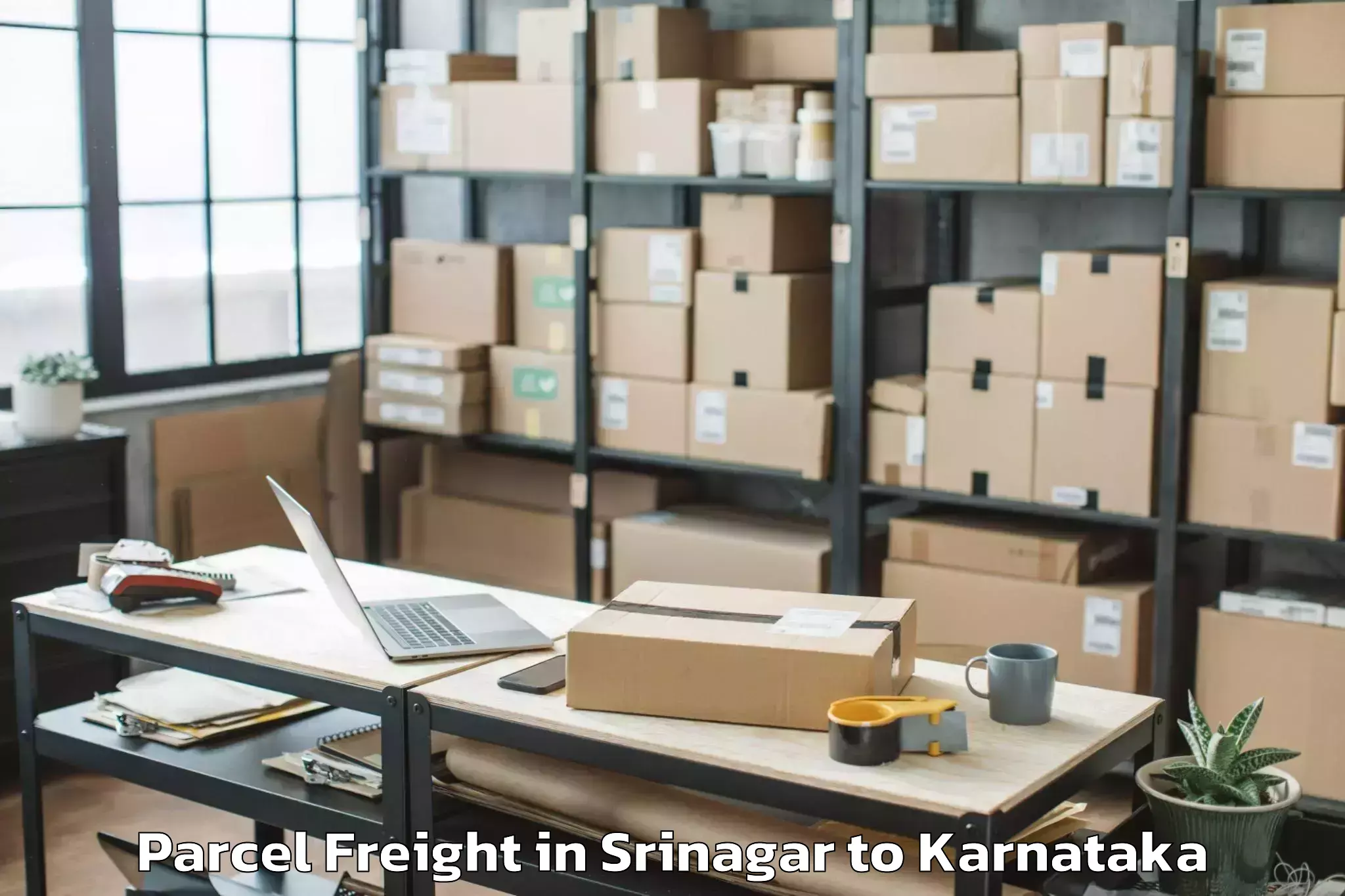 Trusted Srinagar to Sharnbasva University Gulbarga Parcel Freight